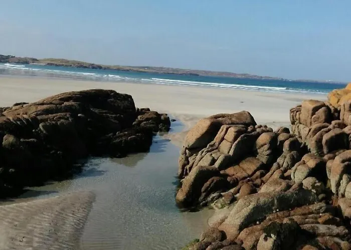 House Casa de hóspedes