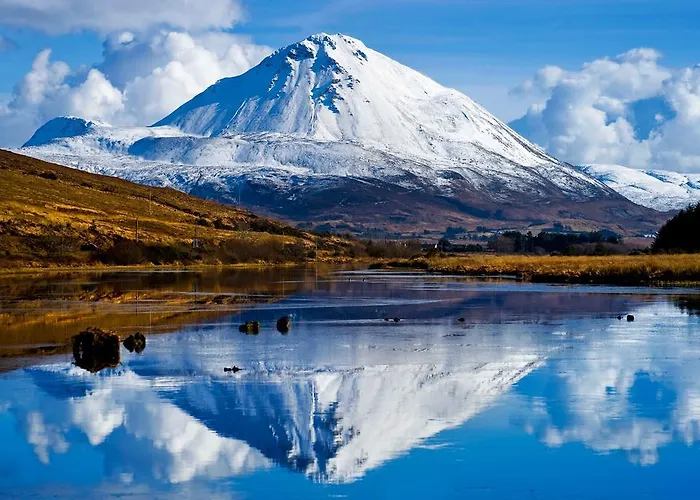 Casa de hóspedes House